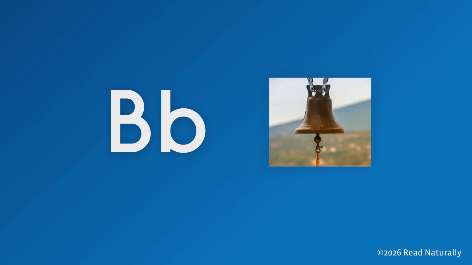 B - Instructional Video