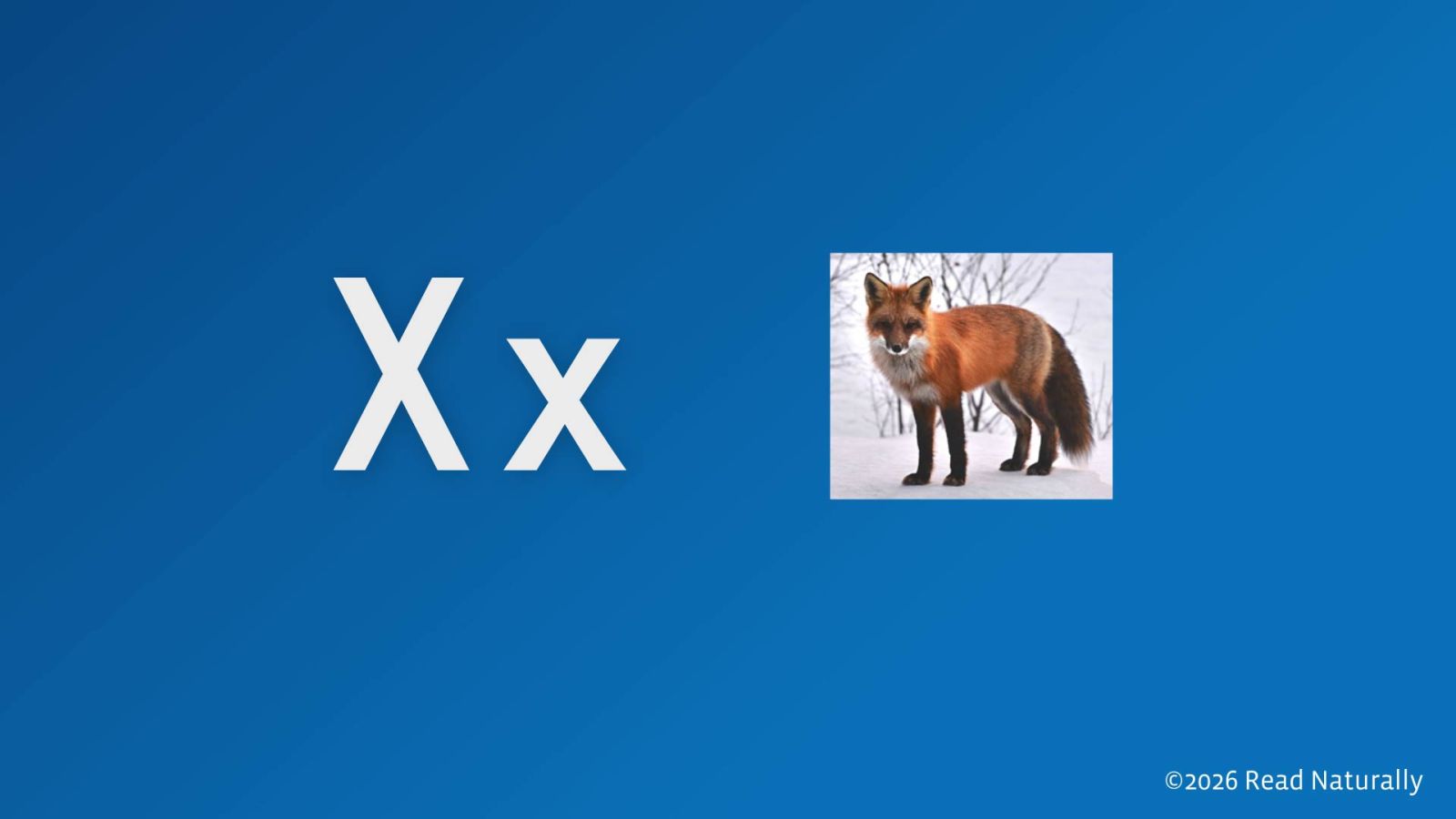 X - Instructional Video